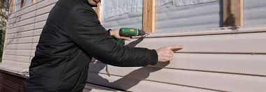 Best Siding Painting and Refinishing  in Weedpatch, CA